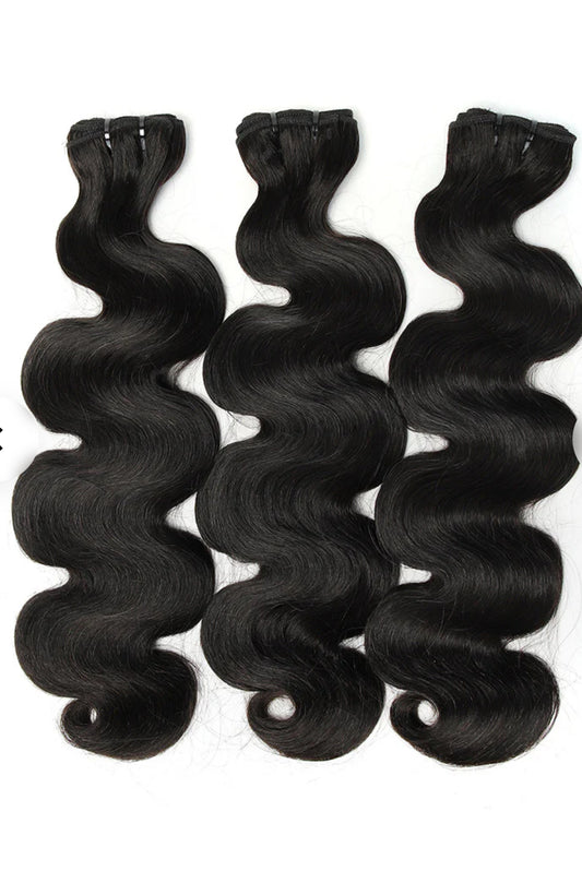 Burmese Body-wave bundles